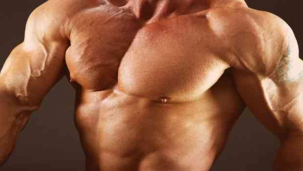 how to build chest muscles fast